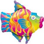 Tropical Fun Fish