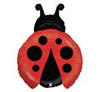 Lady Bug