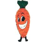 Carrot with Smile