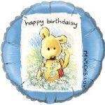 Newton Birthdaisy<br>3 pack