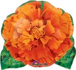 Orange Flower