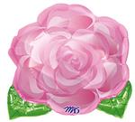 Pink Rose