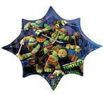 Ninja Turtles Shape