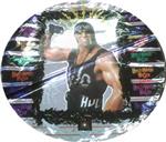 Hollywood Hogan Birthday<br>3 pack