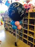 Gender Reveal