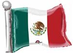 Mexican Flag Shape