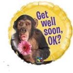 Get Well<br>Chimp & Flower<br>3 pack